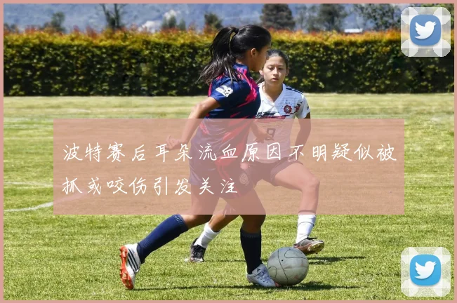 波特赛后耳朵流血原因不明疑似被抓或咬伤引发关注
