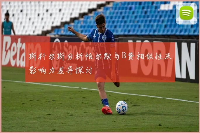 斯科尔斯分析帕尔默与B费相似性及影响力差异探讨